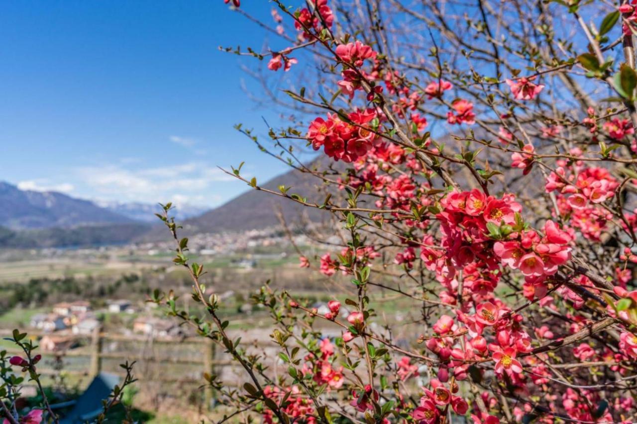 Alle Coccinelle, Levico Terme Kültér fotó